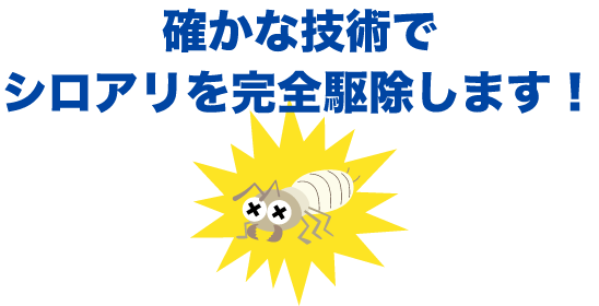 確かな技術でシロアリを完全に駆除します!